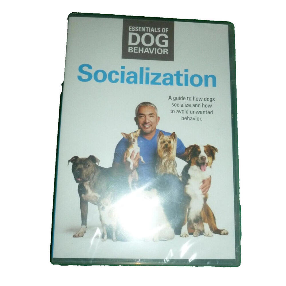 Essentials of Dog Behavior Socialization‎